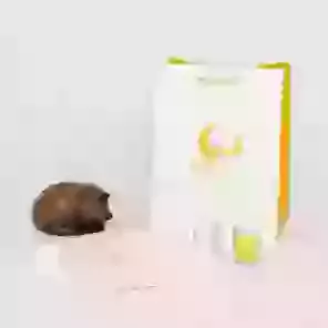 Sleeping Cat Urn